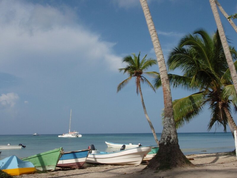 Palm trees and boats on a tropical beach