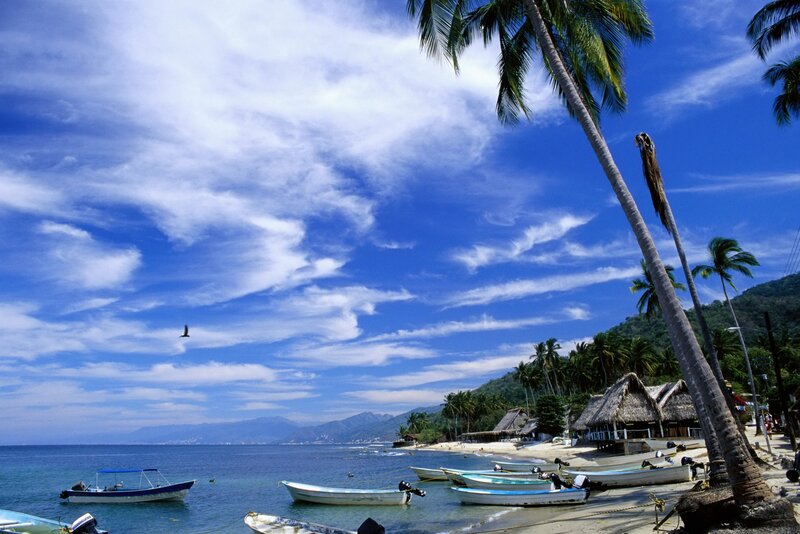 Palm trees and boats on a tropical beach