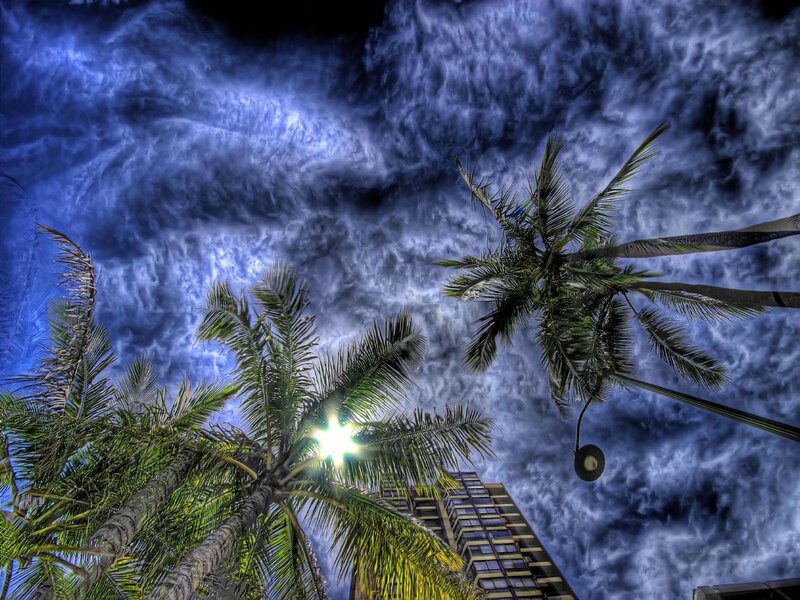 Palm Trees and Building — Blue, Dramatic