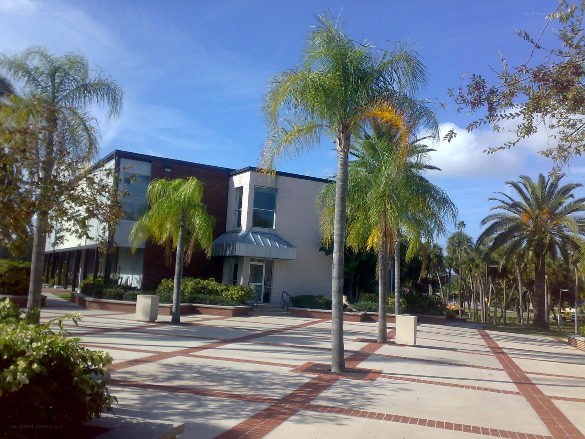 Palm trees and building exterior