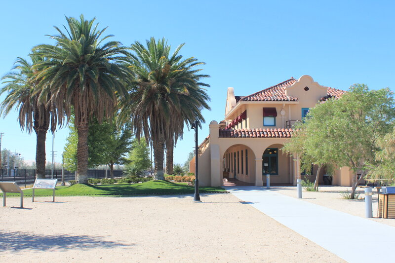 Palm Trees and Building
