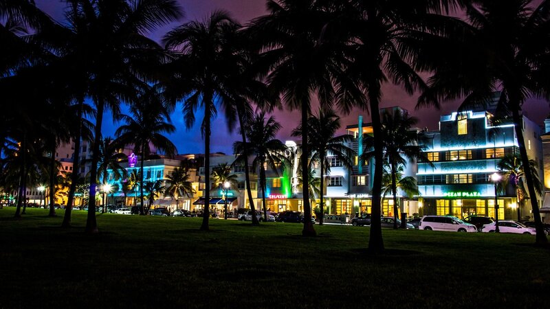 Palm Trees and Buildings — Blue, Nocturnal