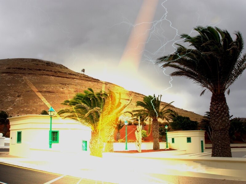 Palm Trees and Buildings — Yellow