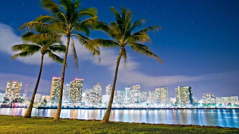 Palm Trees and City Skyline — Blue