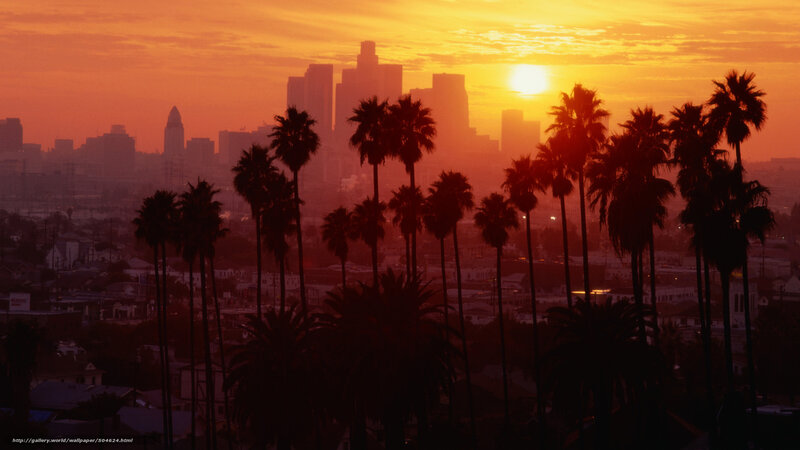 Palm Trees and City Skyline — Orange, Dramatic, Sunset, Photograph