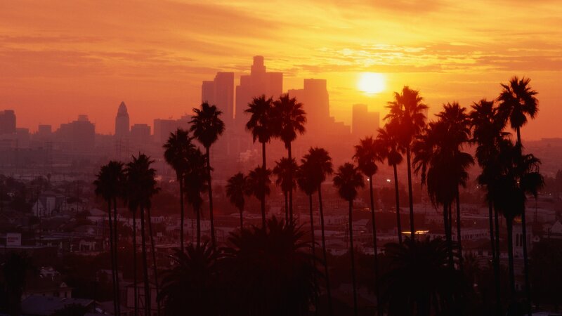 Palm Trees and City Skyline — Orange, Dramatic, Sunset