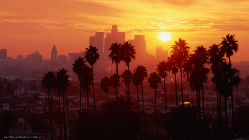 Palm Trees and City Skyline — Orange, Dramatic