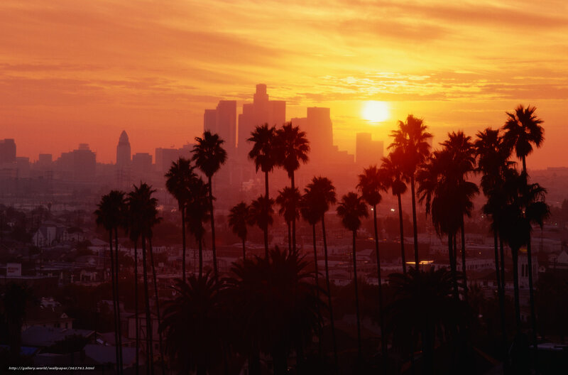 Palm Trees and City Skyline — Orange