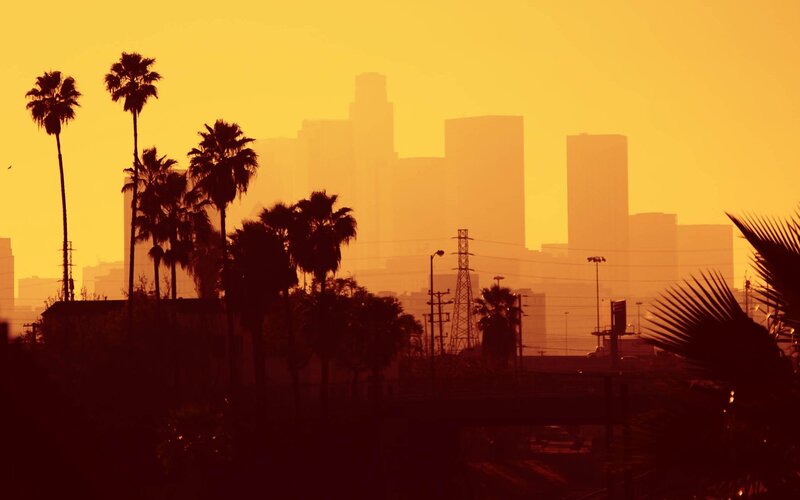 Palm Trees and City Skyline — Yellow