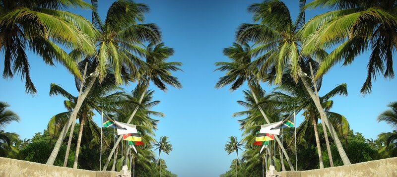 Palm trees and flags at a tropical location