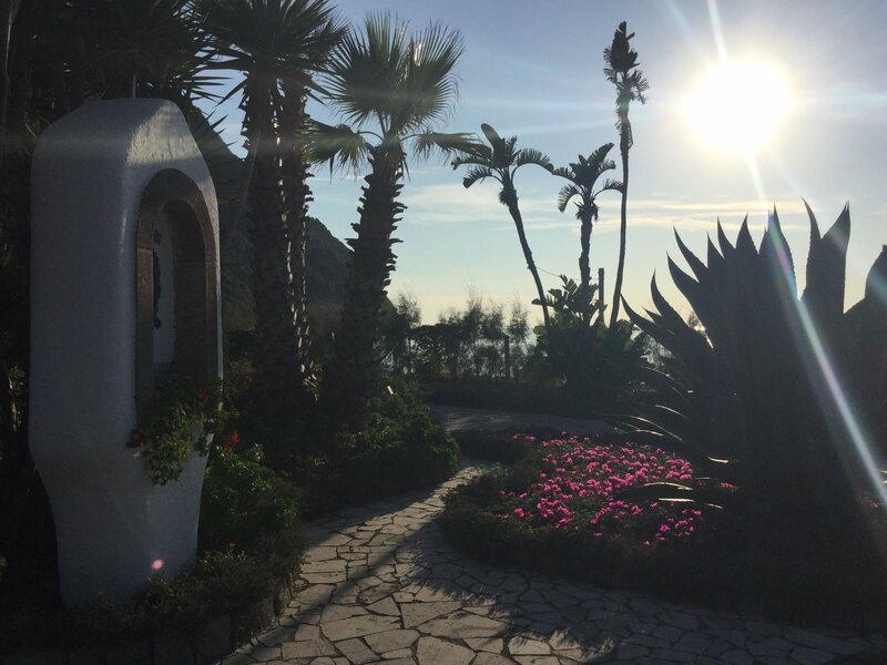 Palm Trees and Flowers
