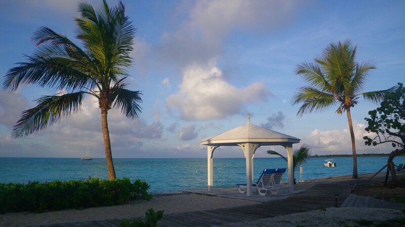 Palm Trees and Gazebo — Blue