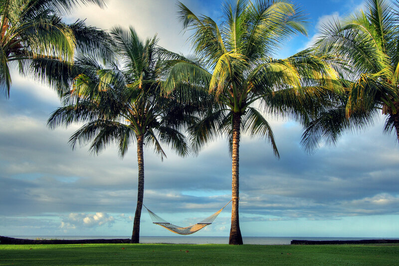 Palm trees and hammock by the sea