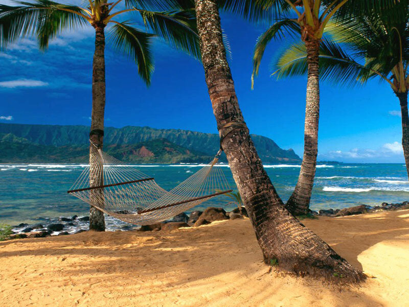 Palm trees and hammock on beach