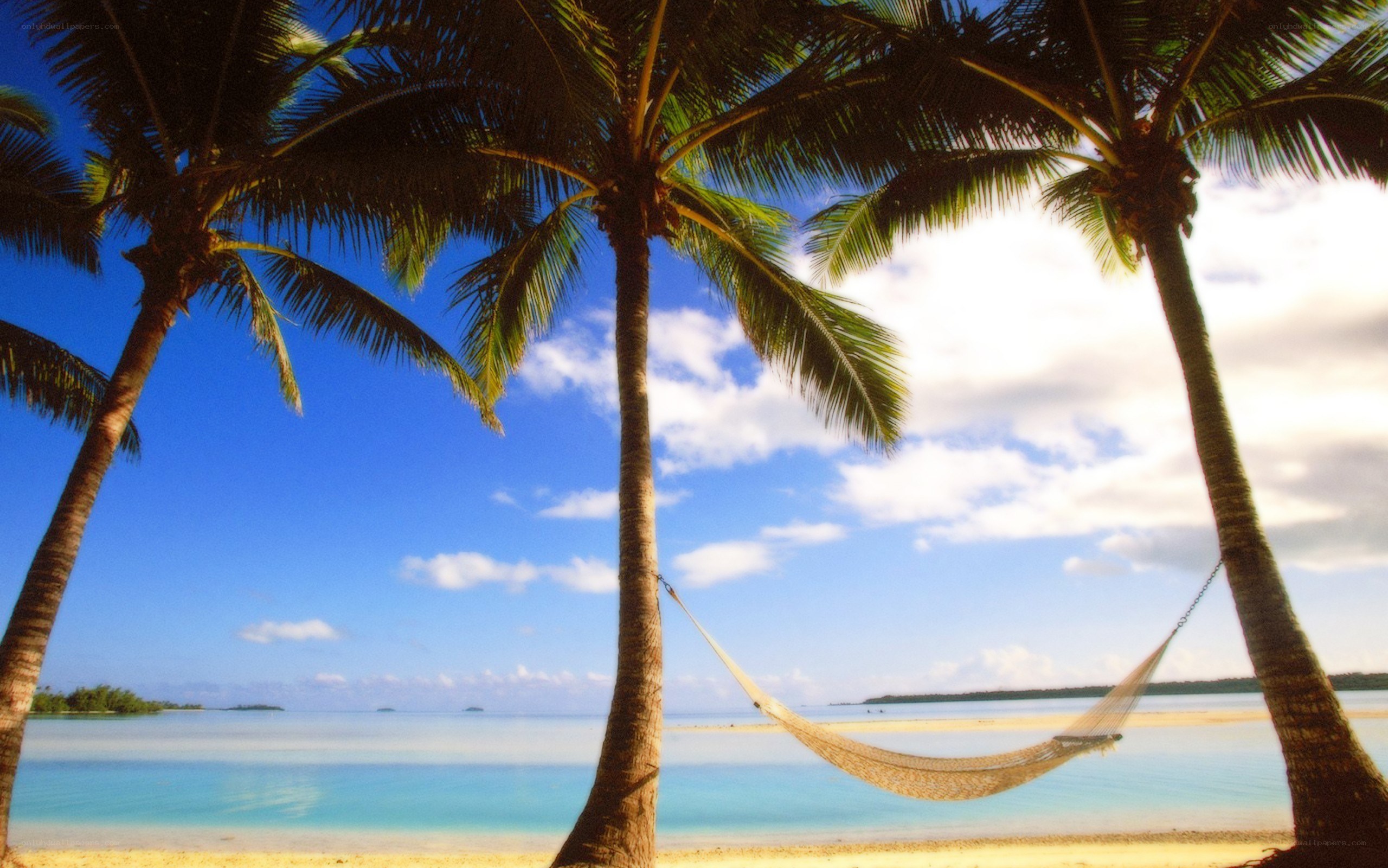 Palm trees and hammock on beach