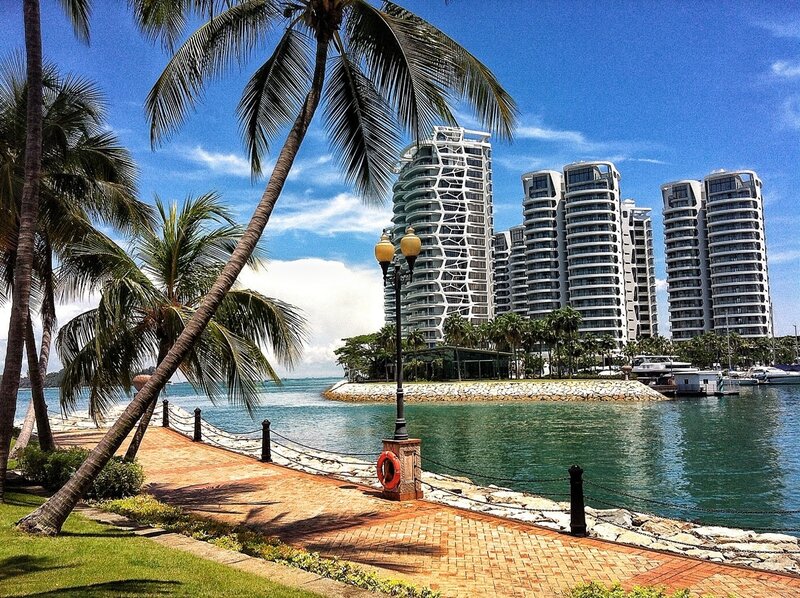 Palm Trees and High-rises