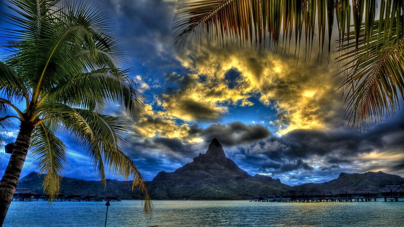 Palm trees and mountain at sunset