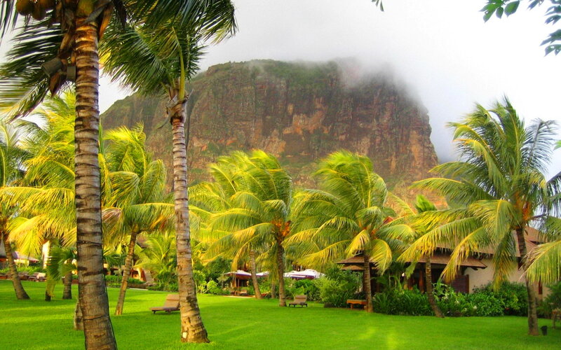 Palm Trees and Mountain