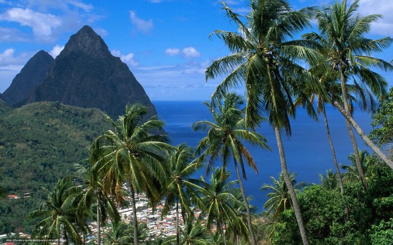 Palm Trees and Mountains — Blue, Serene, Afternoon