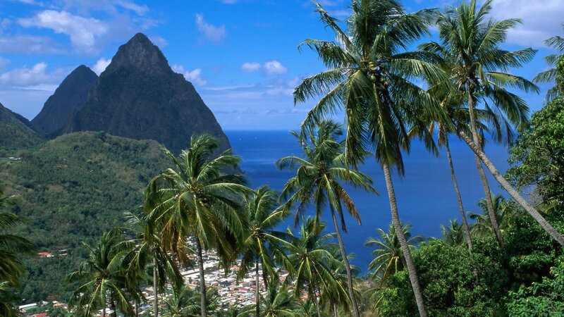 Palm trees and mountains by the sea