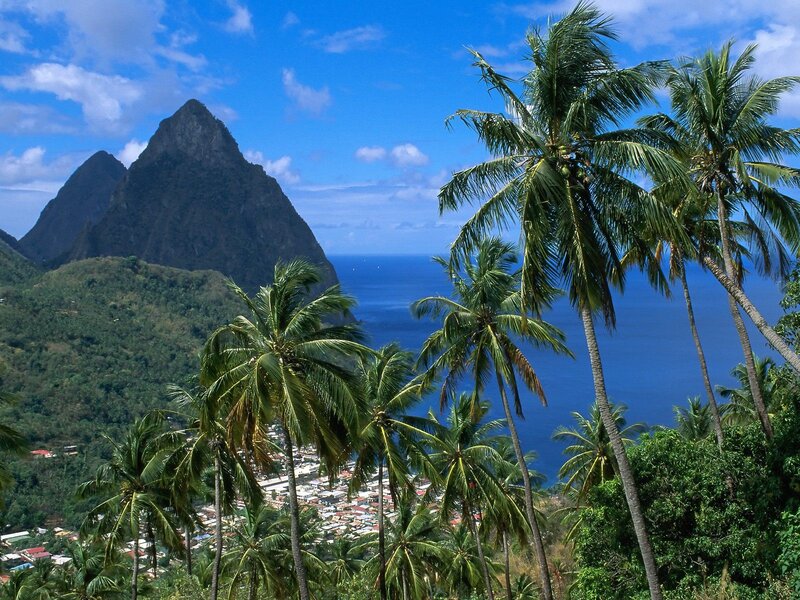 Palm trees and mountains by the sea