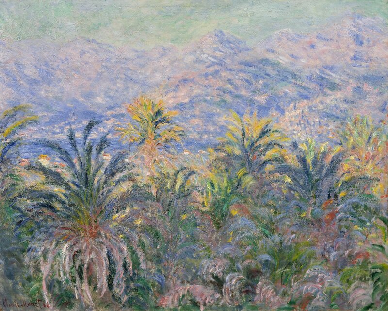 Palm Trees and Mountains