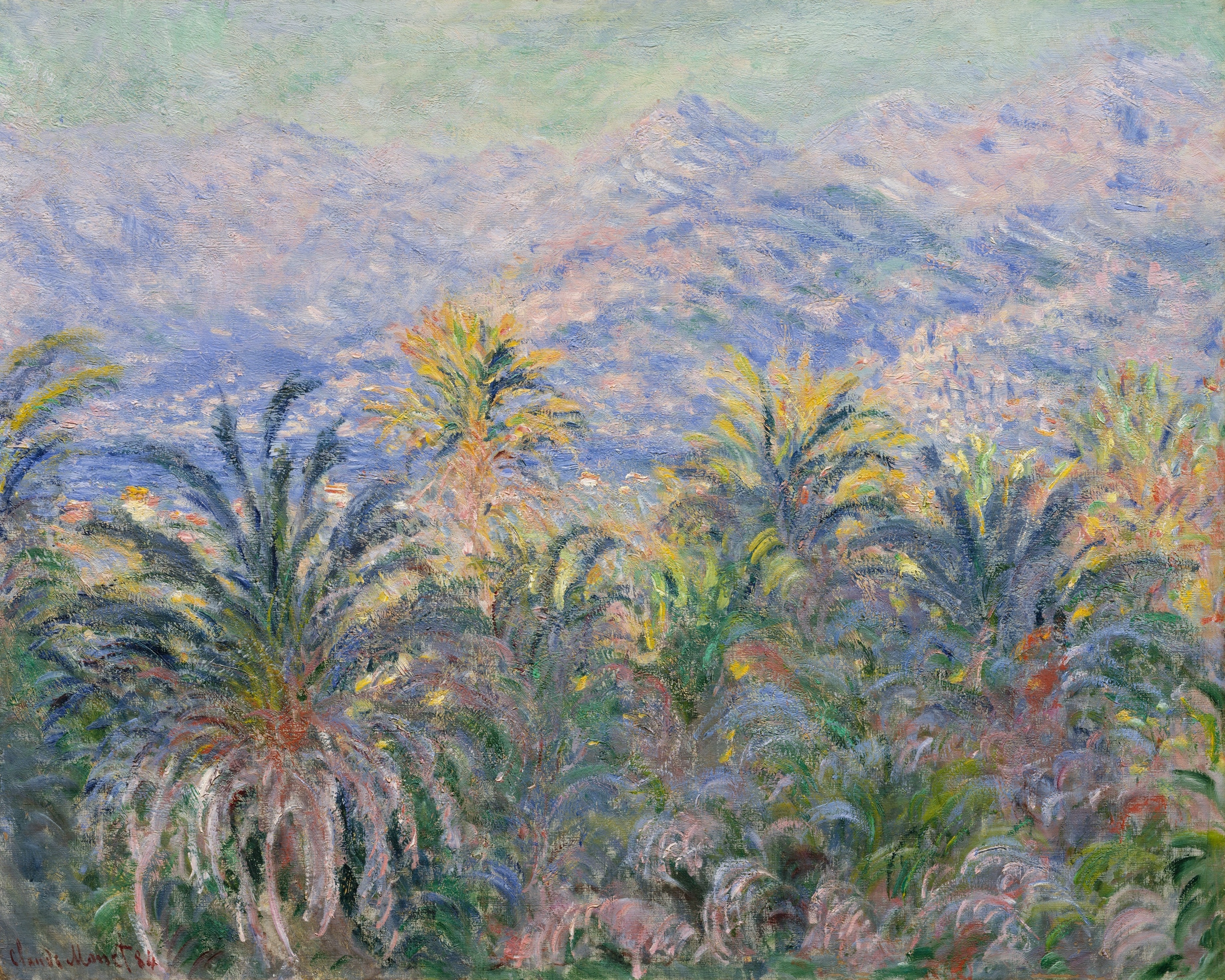 Palm Trees and Mountains