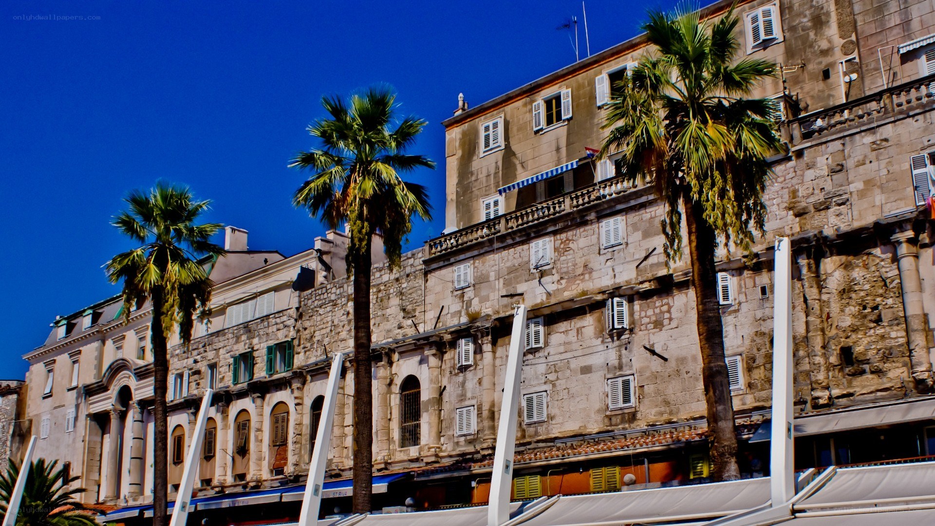Palm trees and old buildings