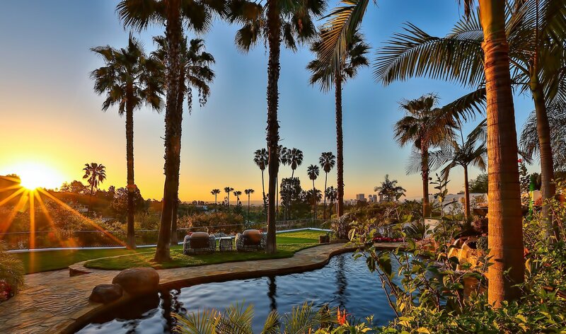 Palm Trees and Pool — Blue