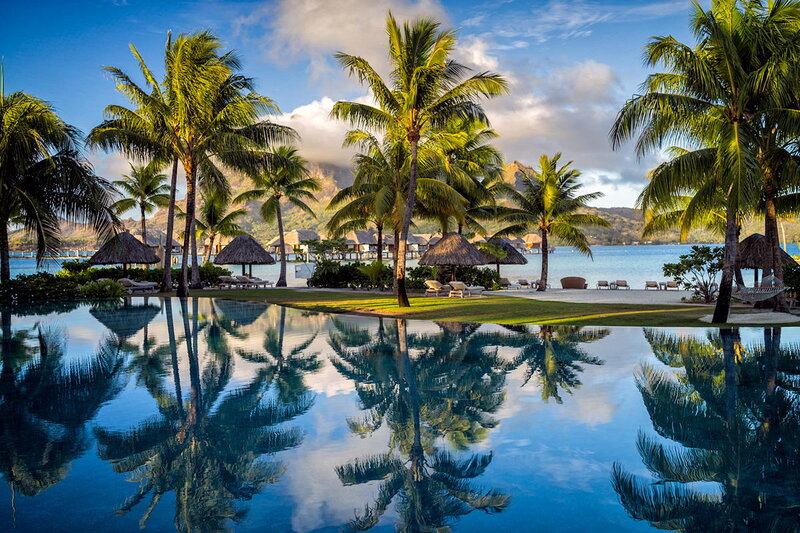 Palm Trees and Pool