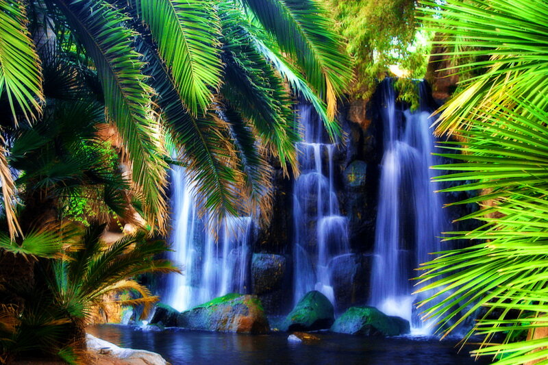 Palm Trees and Waterfall