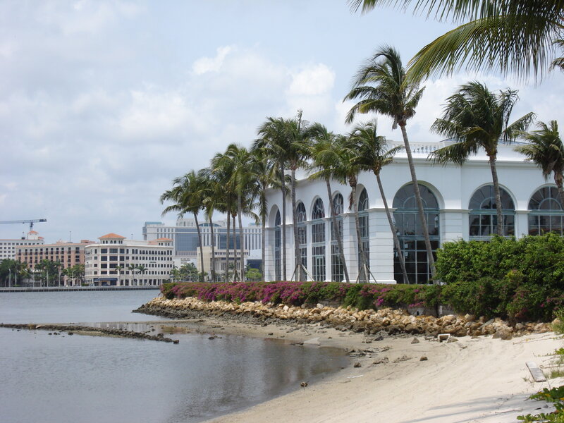 Palm trees and waterfront building