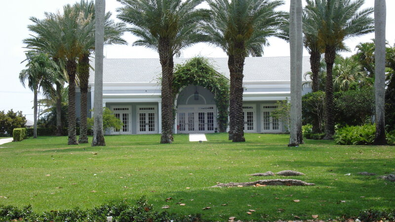 Palm trees and white building