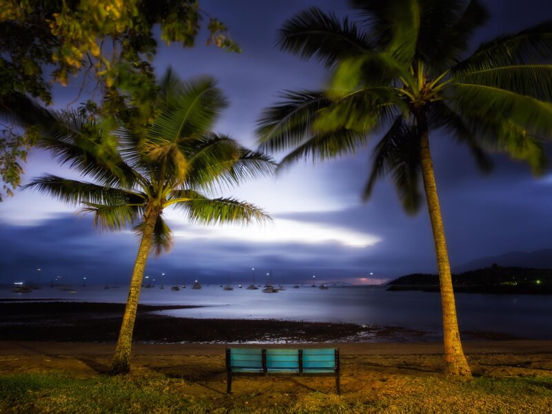 Palm Trees at Beach — Blue, Serene, Night