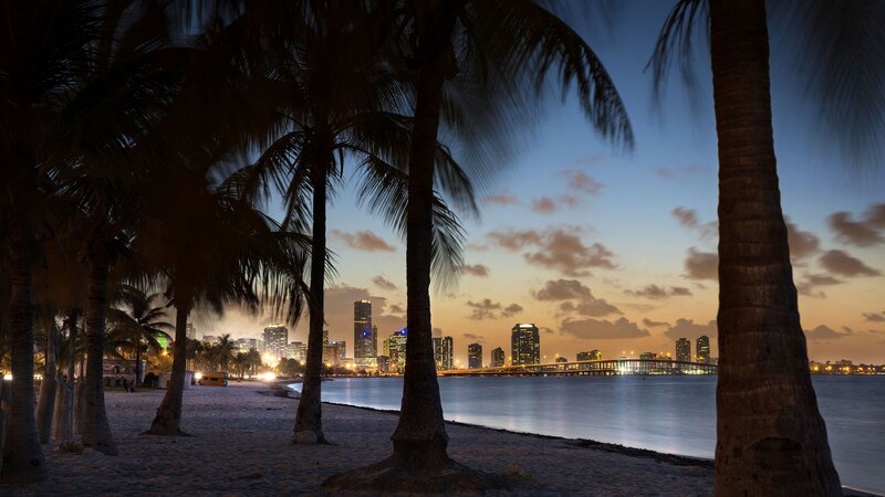 Palm Trees at Beach — Blue, Serene, Sunset, Photograph