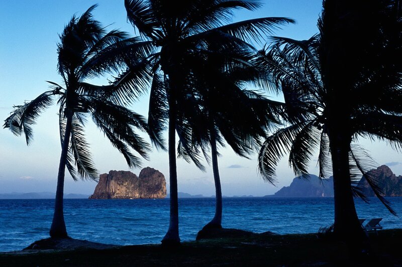 Palm Trees at Beach — Blue, Serene, Sunset
