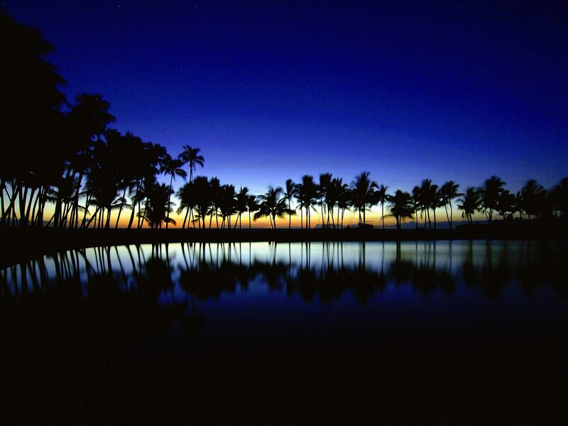 Palm Trees at Dusk — Blue, Serene, Night, Photograph, Sky, Reflection, Ocean