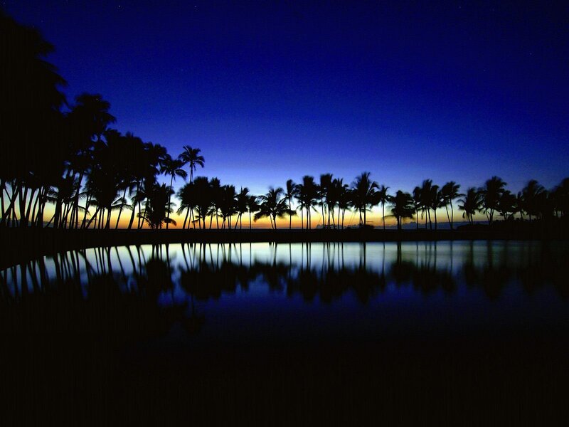 Palm Trees at Dusk — Blue, Serene, Night, Photograph, Sky, Reflection, Water, Black