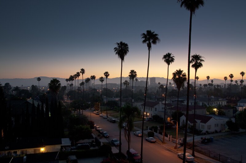 Palm Trees at Dusk — Blue, Serene, Sunset, Photograph, Houses