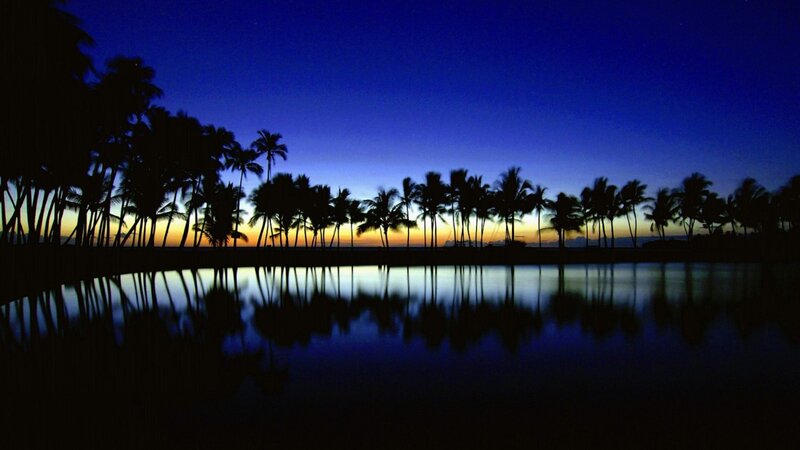 Palm Trees at Dusk — Blue, Serene, Sunset, Photograph