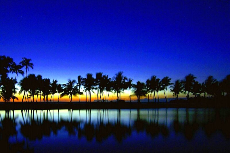 Palm Trees at Dusk — Blue, Serene