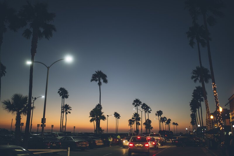 Palm trees at dusk on a busy street