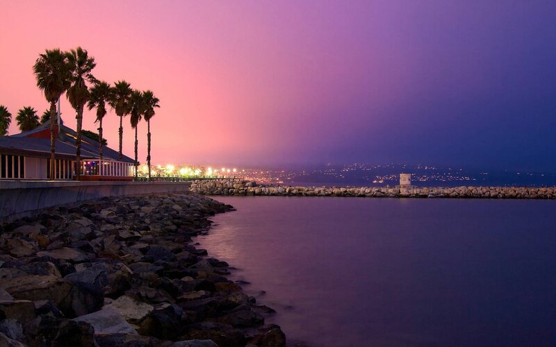 Palm Trees at Dusk — Purple, Serene, Sunset, Photograph, Palm Trees