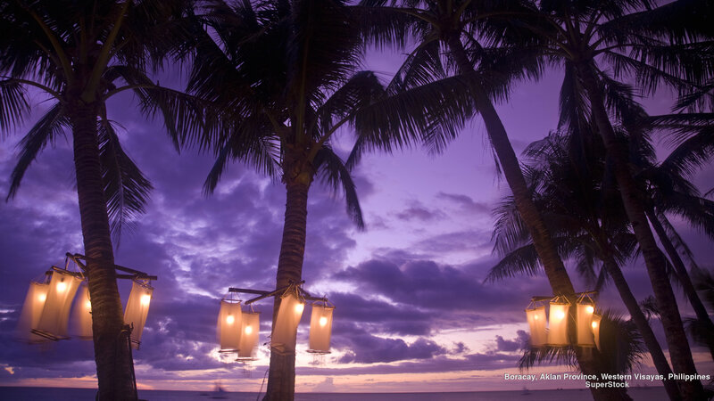 Palm Trees at Dusk — Purple, Serene, Sunset, Photograph