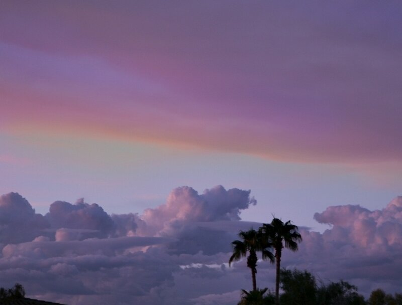 Palm Trees at Dusk — Purple, Serene, Sunset