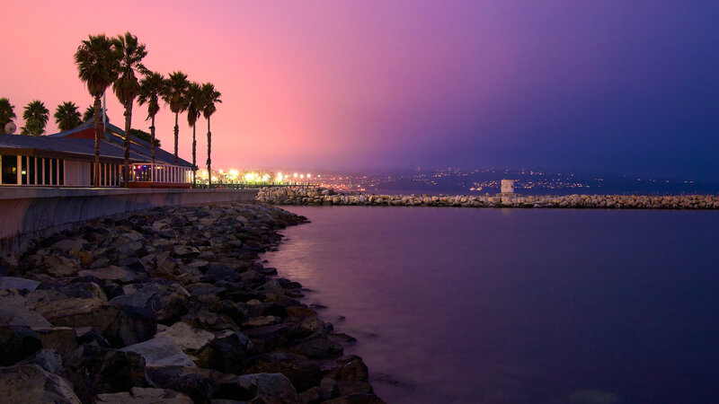 Palm Trees at Dusk — Purple, Serene