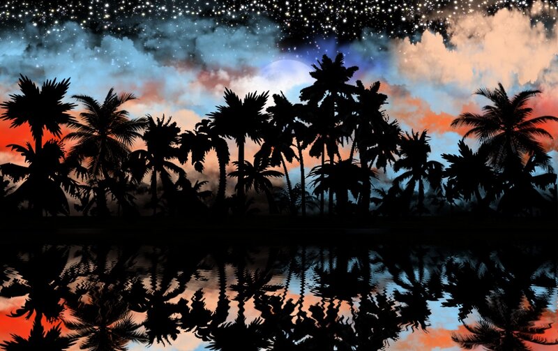 Palm Trees at Night — Black, Dramatic, Digital Art