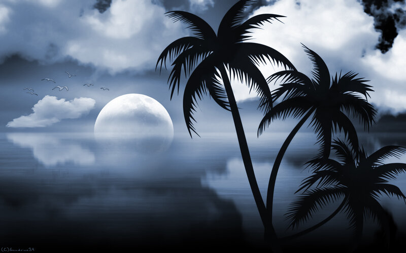 Palm Trees at Night — Blue, Serene, Digital Art