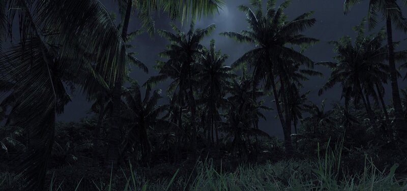 Palm Trees at Night — Green, Dark