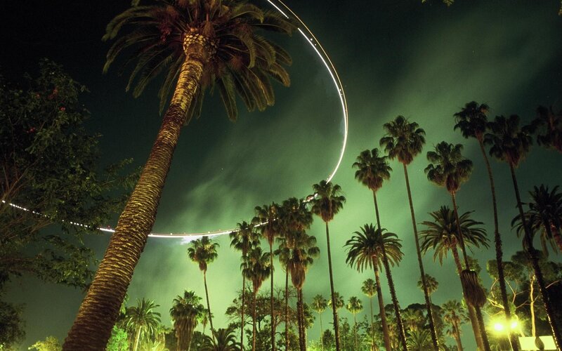 Palm Trees at Night — Green, Dramatic